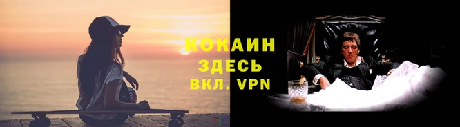 стаф Абинск